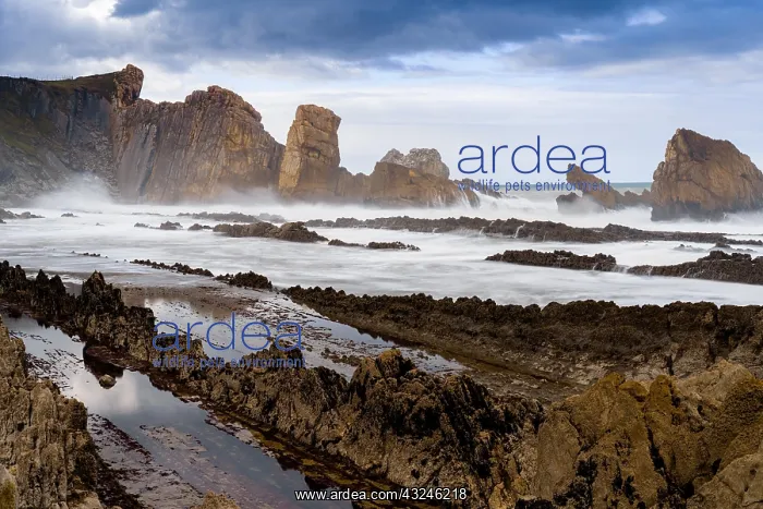 : A rocky and wild coast with stormy waves hitting the shore : A rocky and wild coast with stormy waves hitting the shore