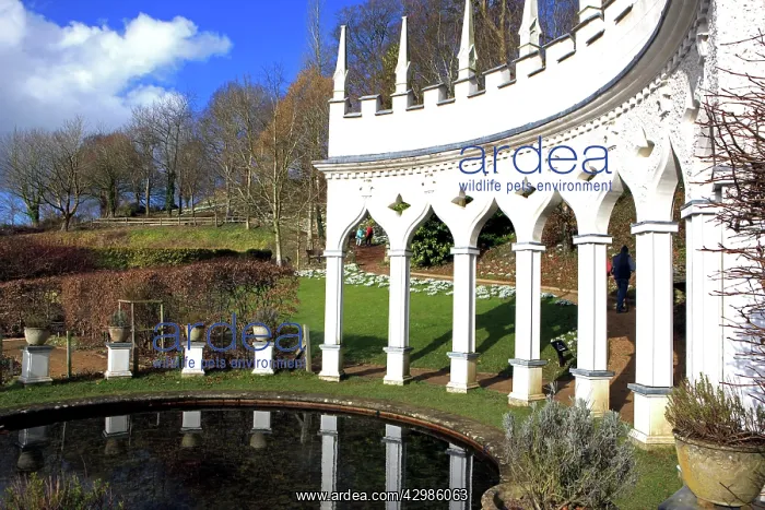  : Rococo Gardens, Painswick, UK