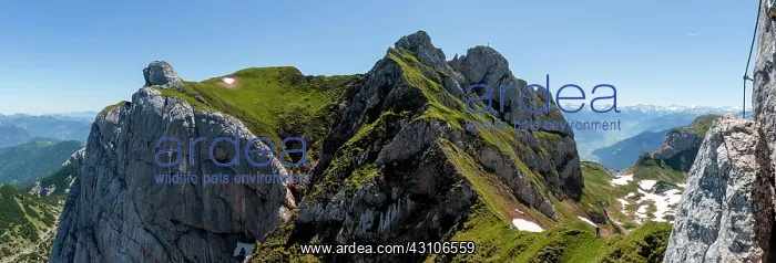 : Roikopf, 5-summit via ferrata, hike on the Rofan : Roikopf, 5-summit via ferrata, hike on the Rofan