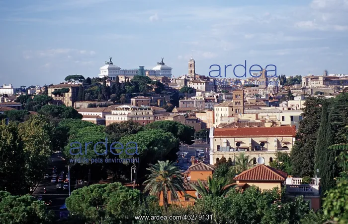 : Rom, Italien, Rom | Rome, Italy, Rom Rom, Italien : Rom, Italien, Rom | Rome, Italy, Rom Rom, Italien