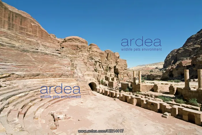 : Roman Amphitheatre, Petra, UNESCO World : Roman Amphitheatre, Petra, UNESCO World