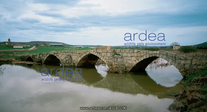 : Roman bridge over the river Brulles. Sasamon : Roman bridge over the river Brulles. Sasamon