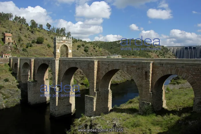 : Roman bridge - River Tejo at Spanish-Portugues border : Roman bridge - River Tejo at Spanish-Portugues border