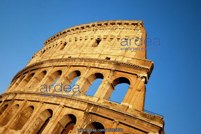 : The Roman Coliseum at sunset, Rome, Lazio : The Roman Coliseum at sunset, Rome, Lazio