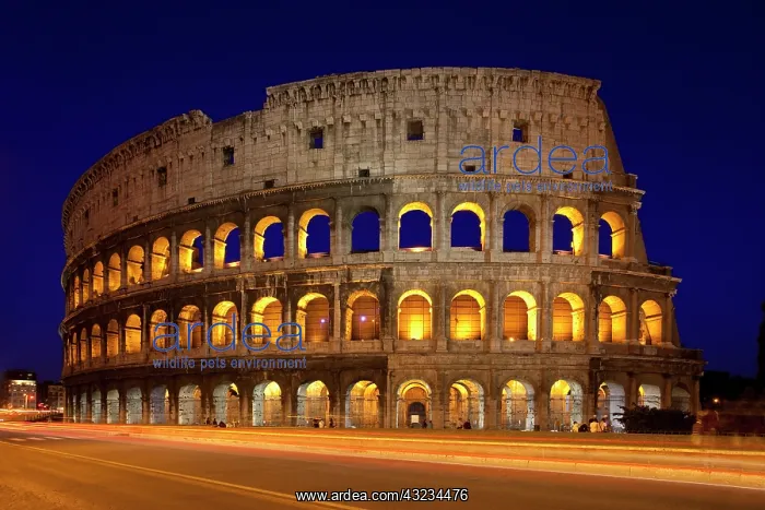 : The Roman Coliseum at twilight, Rome, Lazio : The Roman Coliseum at twilight, Rome, Lazio