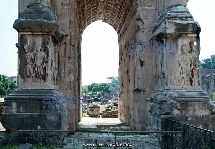 : Roman Forum Pollution : Roman Forum Pollution