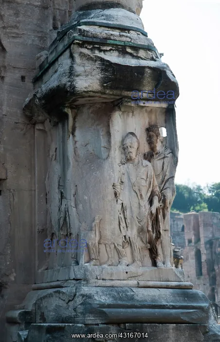 : Roman Forum Pollution : Roman Forum Pollution