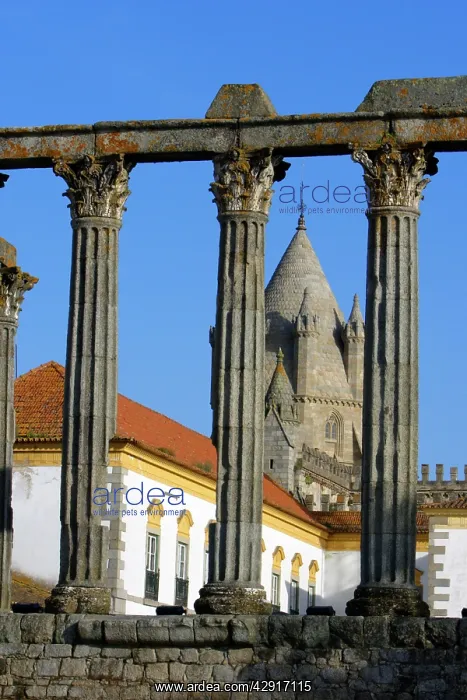 : Roman Temple - in Evora, World Heritage city : Roman Temple - in Evora, World Heritage city