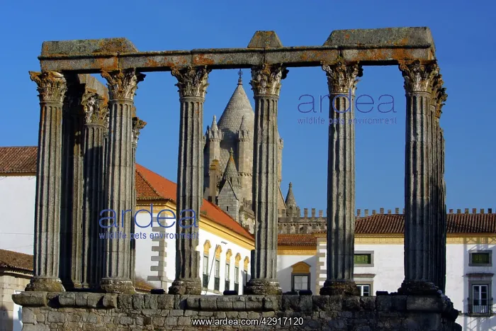 : Roman Temple - in Evora, World Heritage city : Roman Temple - in Evora, World Heritage city