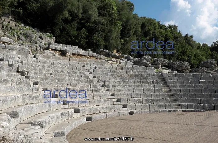 : Roman theatre, amphitheatre, ancient city of Butrint : Roman theatre, amphitheatre, ancient city of Butrint