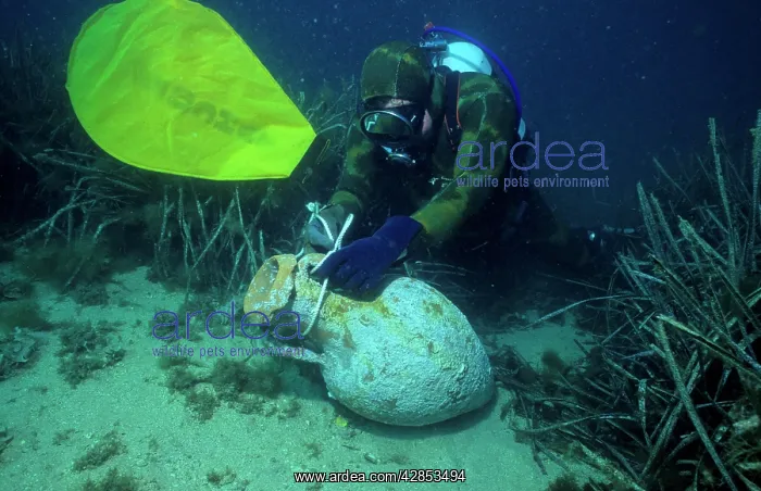: Roman wine Amphora at Le Dramont, France, Mediterranean : Roman wine Amphora at Le Dramont, France, Mediterranean
