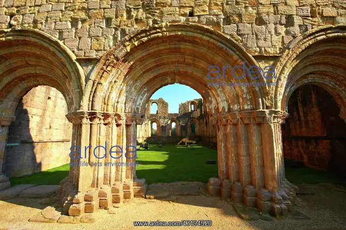 : Romanesque arch of Fountains Abbey, North Yorkshire : Romanesque arch of Fountains Abbey, North Yorkshire
