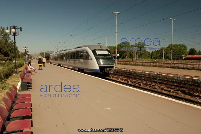 : Romania, Brasov, Train Station in Brasov : Romania, Brasov, Train Station in Brasov