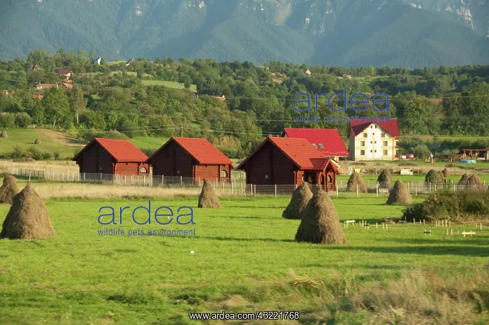 : Romania, Carpathian mountains, Transylvania : Romania, Carpathian mountains, Transylvania
