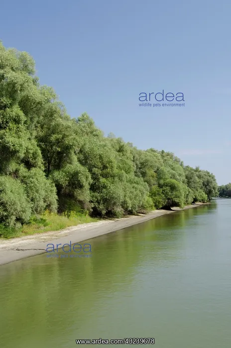 : Romania, Dobrudgea region, Tulcea, Danube : Romania, Dobrudgea region, Tulcea, Danube