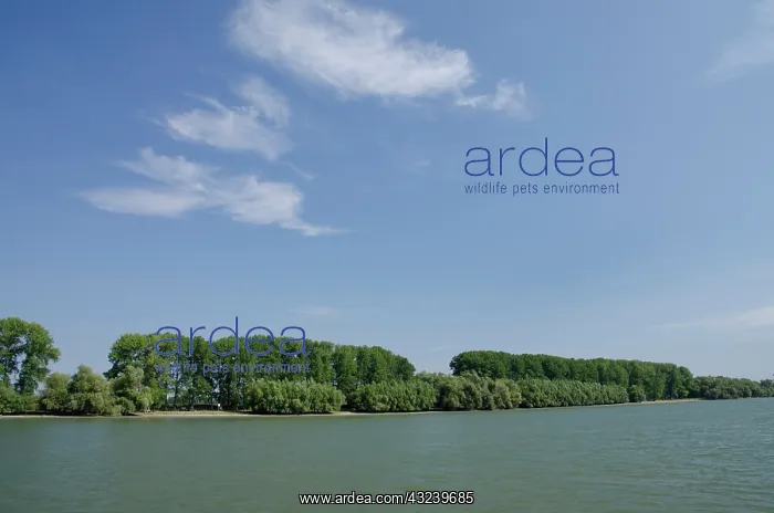 : Romania, Dobrudgea region, Tulcea, Danube : Romania, Dobrudgea region, Tulcea, Danube