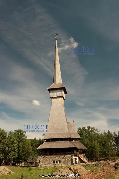 : Romania, Mara mures, Traditional old wood : Romania, Mara mures, Traditional old wood