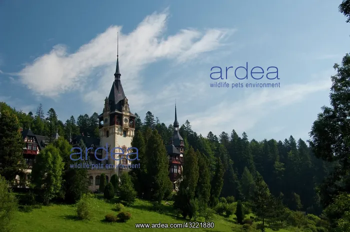 : Romania, Sinaia. Neo-Renaissance Peles Castle : Romania, Sinaia. Neo-Renaissance Peles Castle