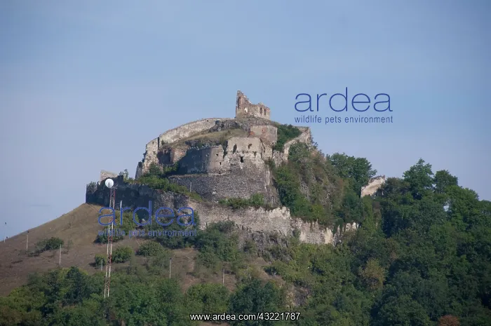 : Romania, Transylvania, Rasnov. Carpathian : Romania, Transylvania, Rasnov. Carpathian