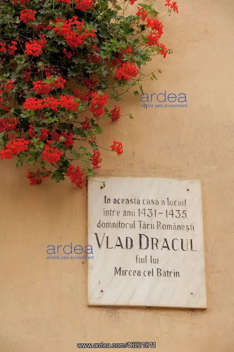 : Romania, Transylvania, Sighisoara. Birthplace : Romania, Transylvania, Sighisoara. Birthplace