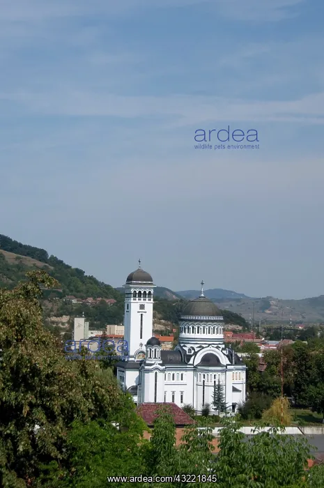 : Romania, Transylvania, Sighisoara. Romanian : Romania, Transylvania, Sighisoara. Romanian
