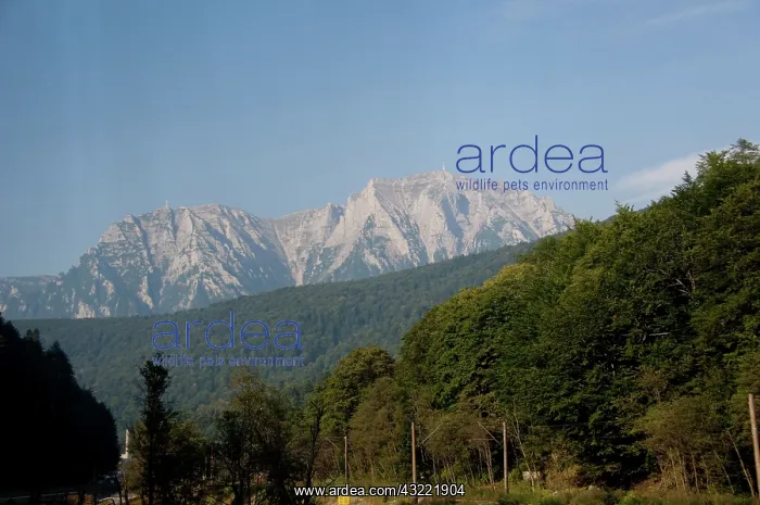 : Romania, Transylyania, Carpathian Mountains