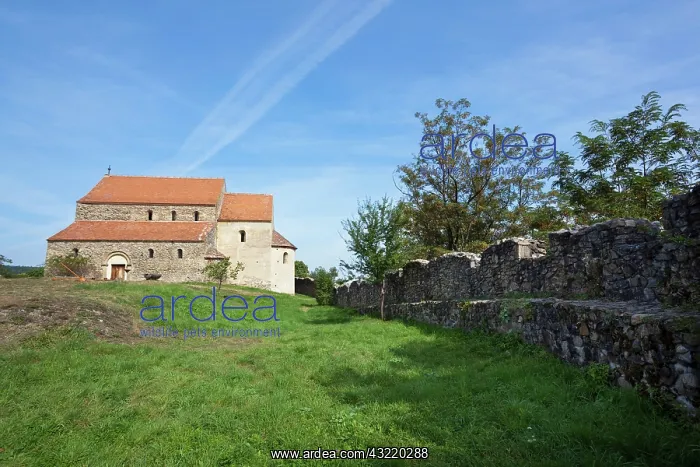 : the romantic church of Cisnadioara with : the romantic church of Cisnadioara with