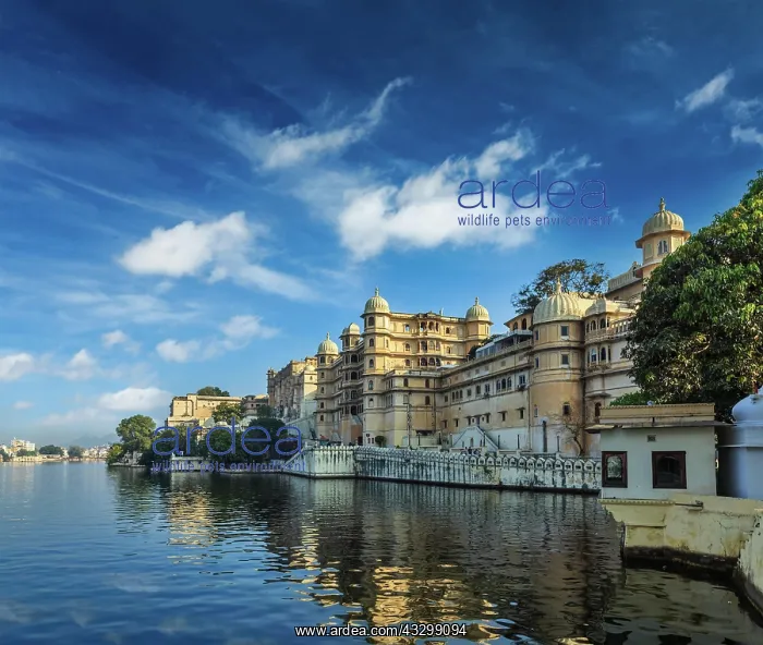 : Romantic India luxury tourism concept background : Romantic India luxury tourism concept background