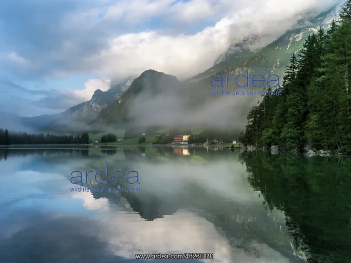 : The romantic lake Hintersee, at morning : The romantic lake Hintersee, at morning