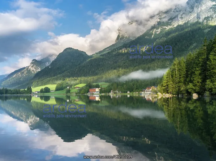 : The romantic lake Hintersee, at morning : The romantic lake Hintersee, at morning