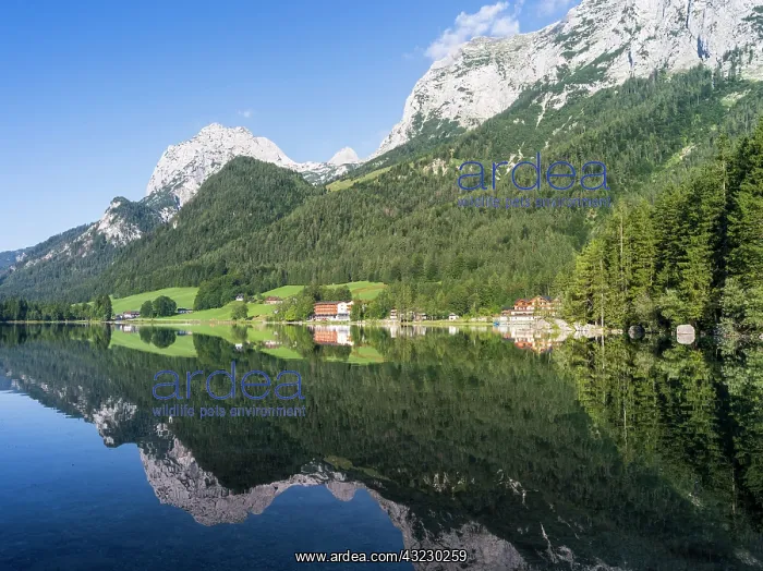 : The romantic lake Hintersee, at morning : The romantic lake Hintersee, at morning