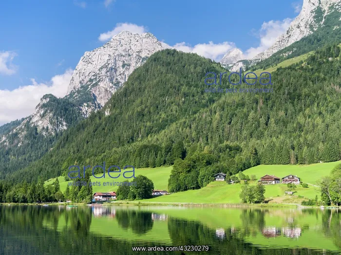 : The romantic lake Hintersee, at morning : The romantic lake Hintersee, at morning