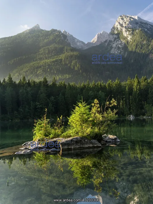 : The romantic lake Hintersee with Mt. Hochkalter : The romantic lake Hintersee with Mt. Hochkalter