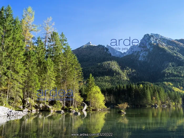 : The romantic lake Hintersee with Mt. Hochkalter : The romantic lake Hintersee with Mt. Hochkalter