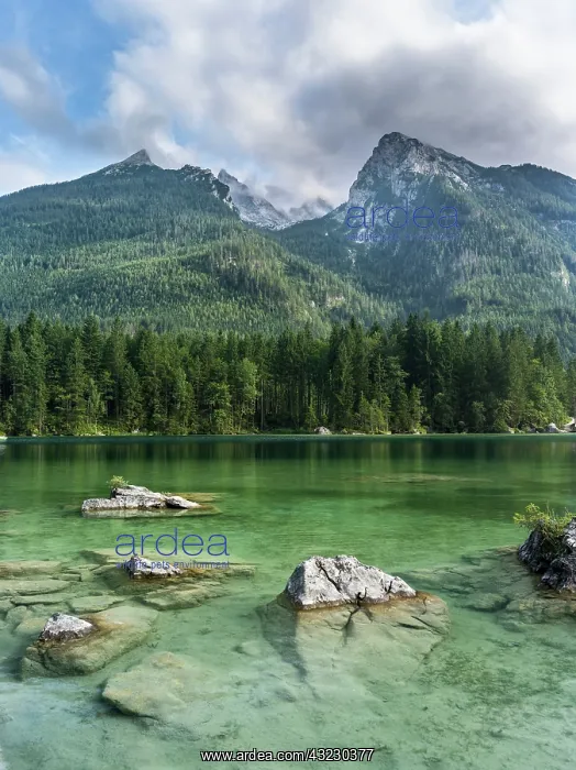 : The romantic lake Hintersee with Mt. Hochkalter : The romantic lake Hintersee with Mt. Hochkalter