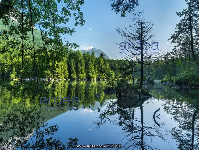 : The romantic lake Hintersee at the Nationalpark : The romantic lake Hintersee at the Nationalpark