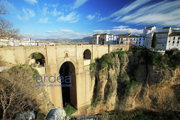 : Ronda - arabic built bridge over ravine : Ronda - arabic built bridge over ravine