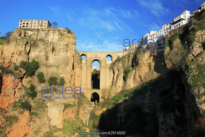 : Ronda - arabic built bridge over ravine : Ronda - arabic built bridge over ravine