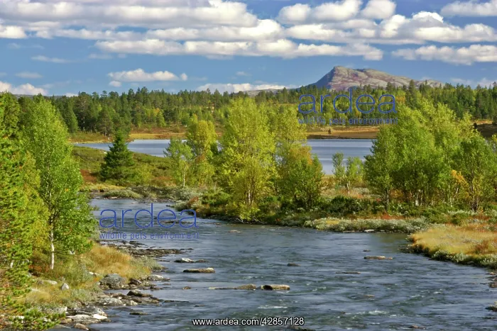 : Rondane mountain scenery - with lake, river and : Rondane mountain scenery - with lake, river and