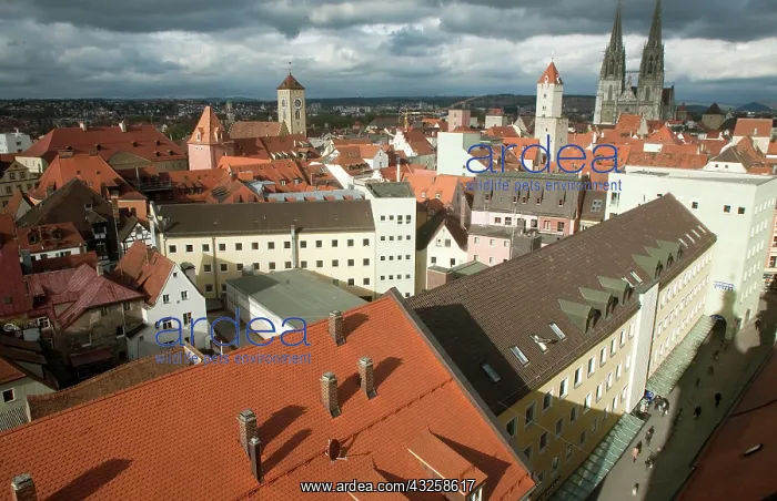 : Roof top view of Old Town Regensburg, Germany : Roof top view of Old Town Regensburg, Germany