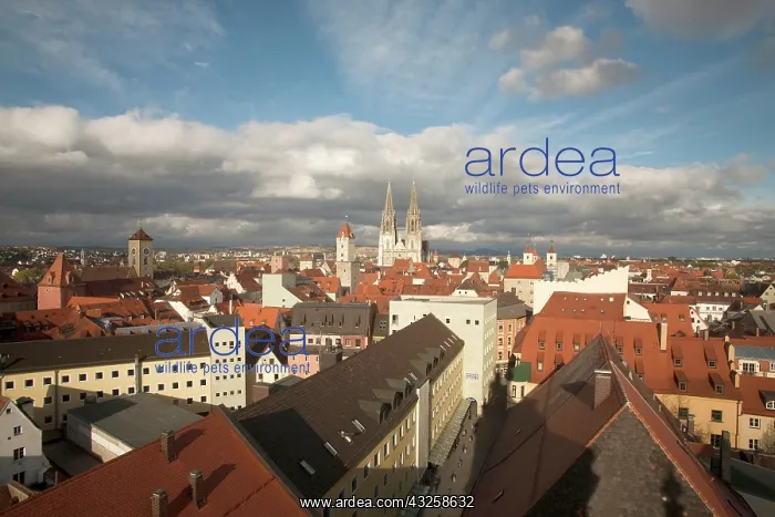 : Roof top view of Old Town Regensburg, Germany : Roof top view of Old Town Regensburg, Germany