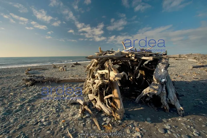 : Room with a view - simple shelter built of tree : Room with a view - simple shelter built of tree