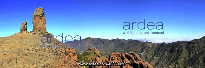 : Roque Nublo is a striking basalt rock, and also : Roque Nublo is a striking basalt rock, and also
