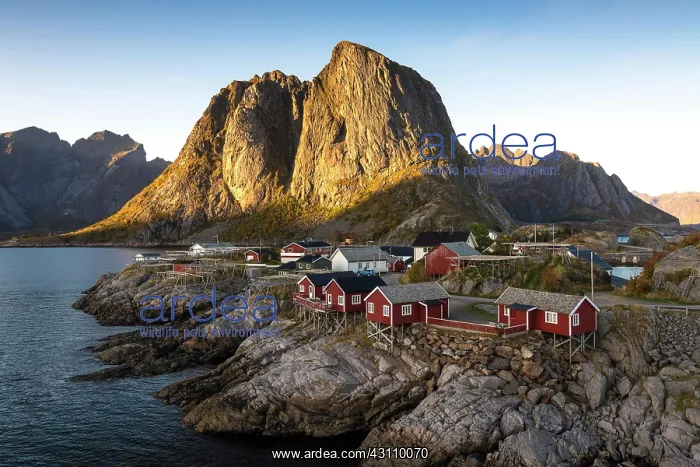 : Rorbu fishing huts off Bergen, Hamncy, Moskenescy : Rorbu fishing huts off Bergen, Hamncy, Moskenescy