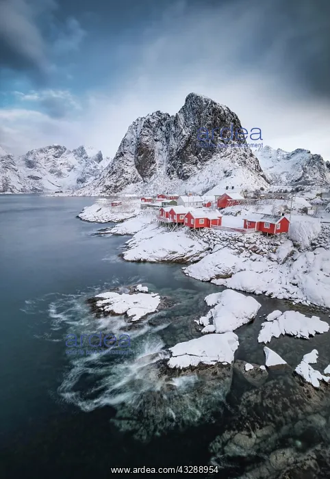 : Rorbuer fishermens cabins on the snowy fjord, village : Rorbuer fishermens cabins on the snowy fjord, village