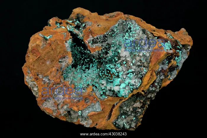 : Rosasite Zinc copper carbonate, minor ore mineral : Rosasite Zinc copper carbonate, minor ore mineral