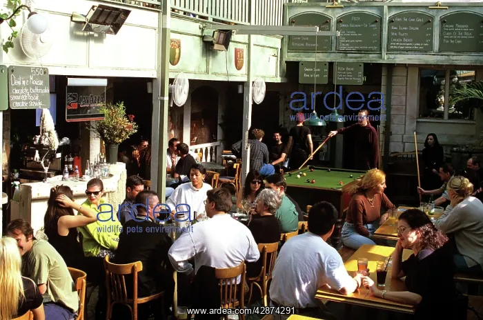 : The Rose Hotel, Chippendale Sydney : The Rose Hotel, Chippendale Sydney