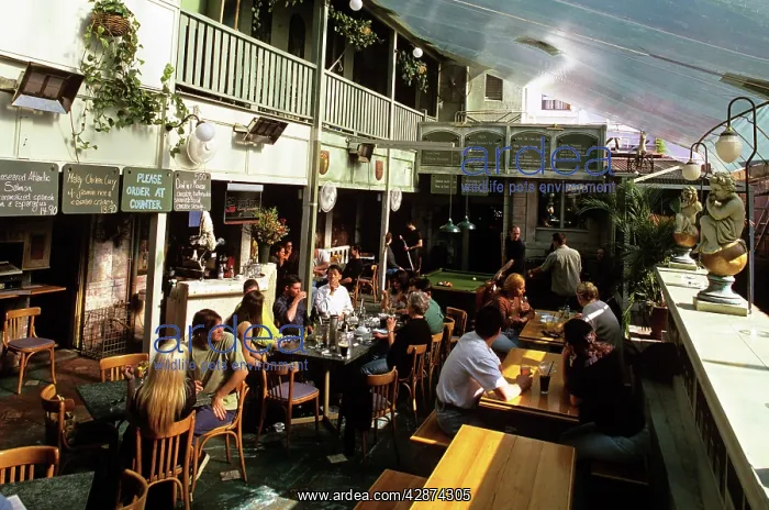 : The Rose Hotel, Chippendale Sydney : The Rose Hotel, Chippendale Sydney