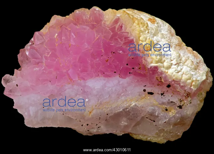  : Rose Quartz