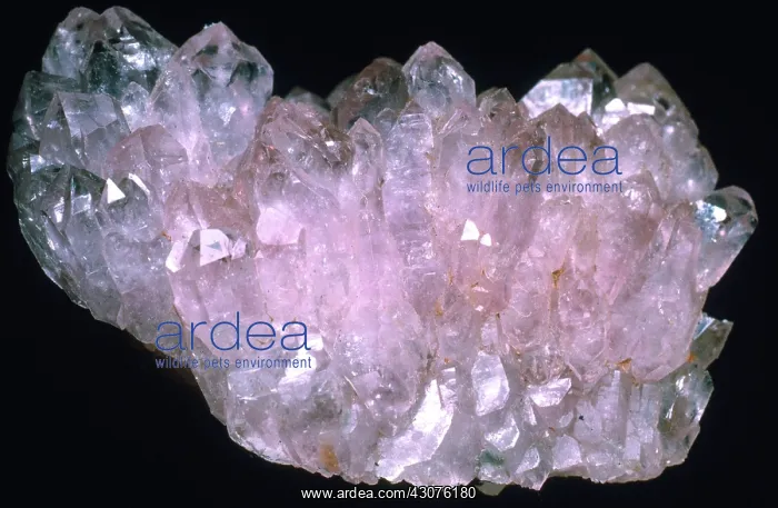 : Rose Quartz : Rose Quartz